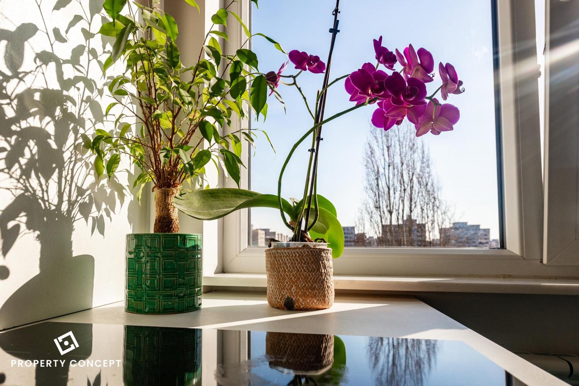 Blissful Retreat Apartment بوخارست المظهر الخارجي الصورة