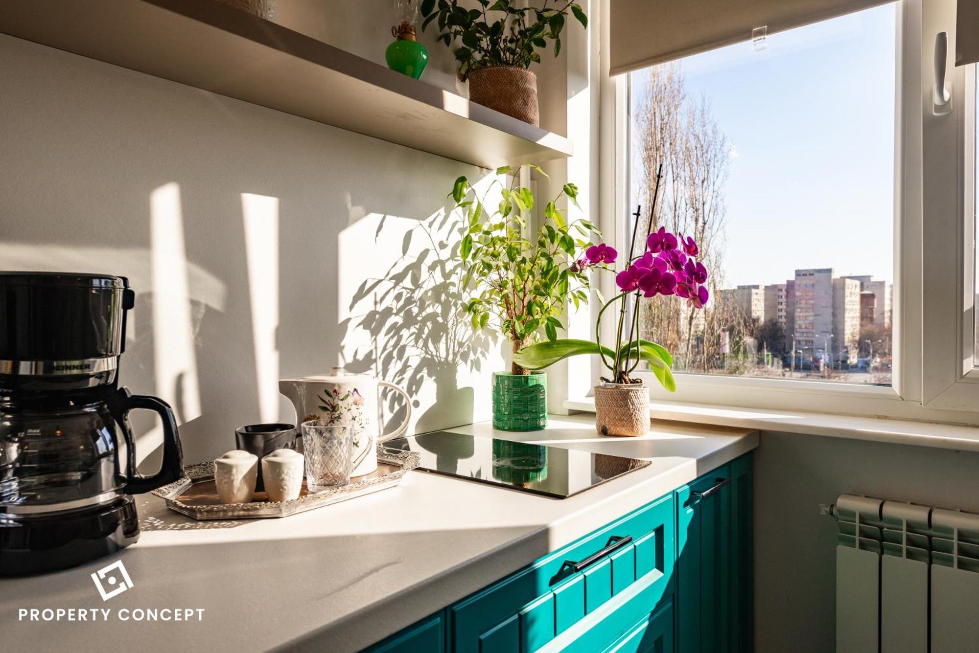 Blissful Retreat Apartment بوخارست المظهر الخارجي الصورة